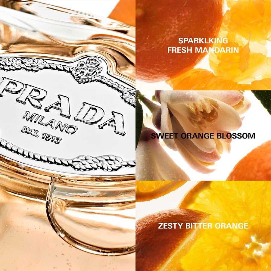 Prada Les Infusions de Mandarine Eau de Parfum 100ml – Vibrant Citrus Elegance - Savvy Steals